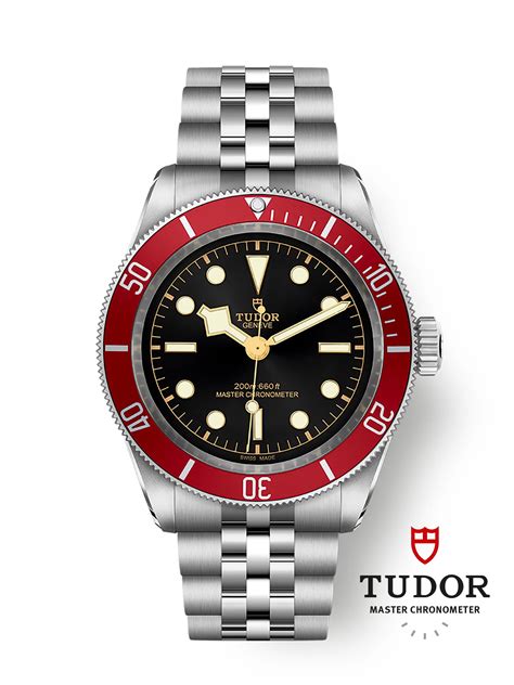 tudor black bay service cost.